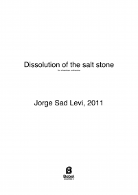 Dissolution of the salt stone image
