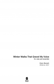 Winter Walks that Gravel my Voice image