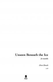 Unseen Beneath the Ice image