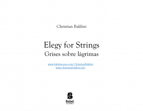 Elegy for Strings image