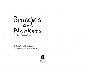 Branches and Blankets image