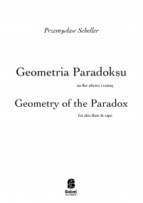 Geometry of the Paradox image