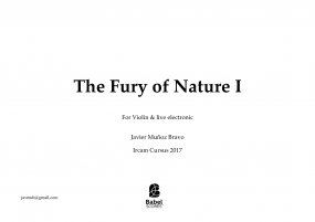 The Fury of Nature I for violin & live electronic  image
