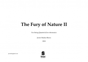 The Fury of Nature II for string quartet image