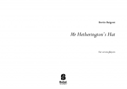 Mr Hetherington's Hat image