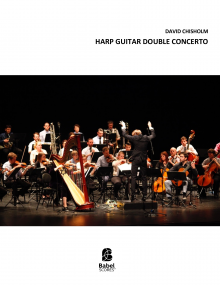 Harp Guitar Double Concerto image