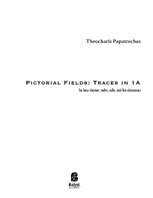 Pictorial Fields: Traces in 1A image