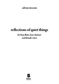 reflections of quiet things image