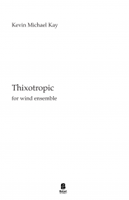 Thixotropic image