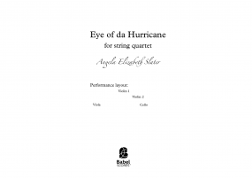 Eye o da hurricane image