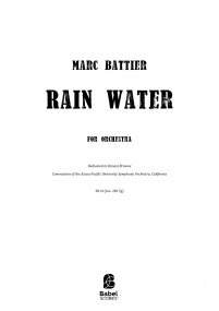 Rain Water image