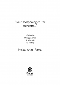 Four morphologies for orchestra