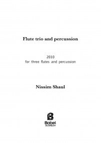 Flute trio with percussion image