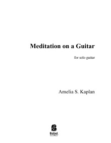 Meditation On A Guitar image