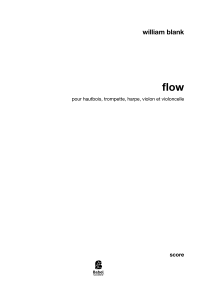 Flow image