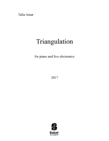 Triangulation image
