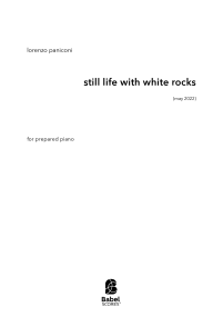 still life with white rocks