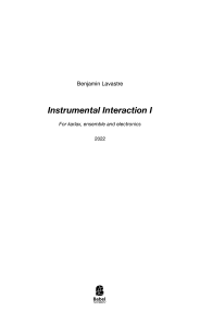 Instrumental Interaction I