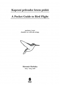 A Pocket Guide to Bird Flight