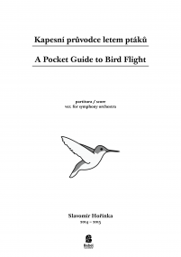 A Pocket Guide to Bird Flight