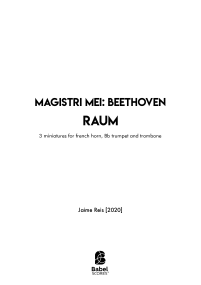 Magistri Mei: Beethoven Raum