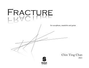 Fracture image